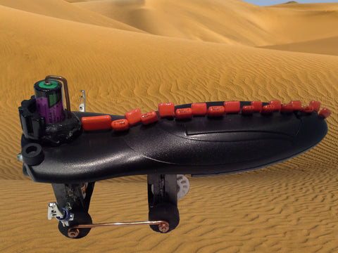 Robots for Polar Bears:  Bottosaurus