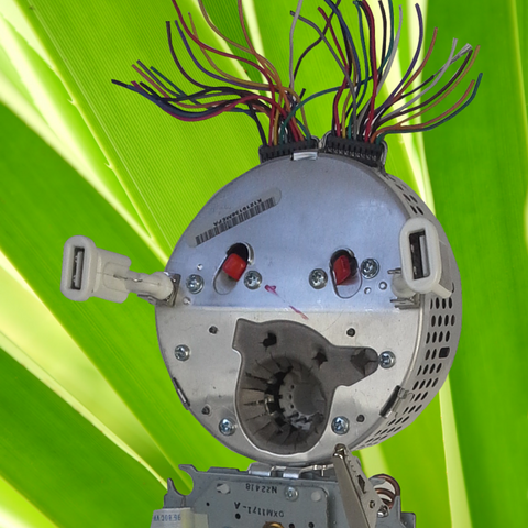 Robots for Polar Bears:  Botwan, First to Rise