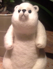Personal Polar Bear