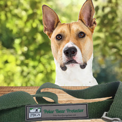 Polar Bear Protector green hemp leash