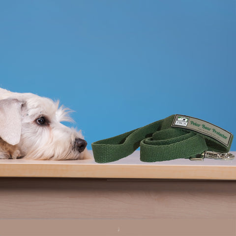 Polar Bear Protector green hemp leash