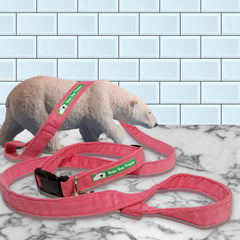 New Corduroy Polar Bear Protector Leashes in Hemp/Organic Cotton
